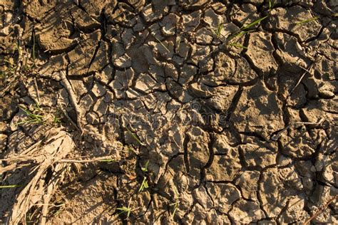 Dry And Cracked Mud Soil Soil Sandy Soil Section Of Dry Soil Drought