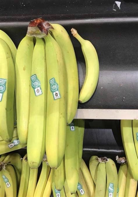 Whole Foods Bananza Normal Banana For Scale Rbananasforscale