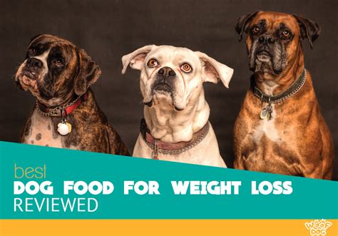 Find everything you need in one place. Top 5 Highest Rated Dog Foods for Weight Loss Reviewed ...
