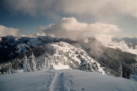 Snowshoeing Hurricane Ridge