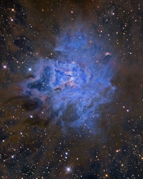 Ngc 7023 The Iris Nebula