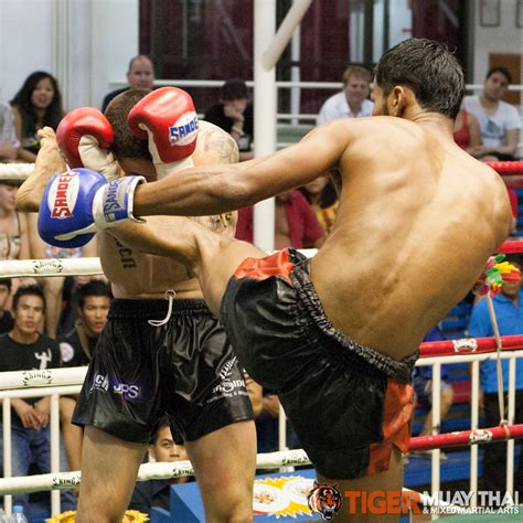 fighting thai tiger muay thai and mma training camp guest fights august 2 2013