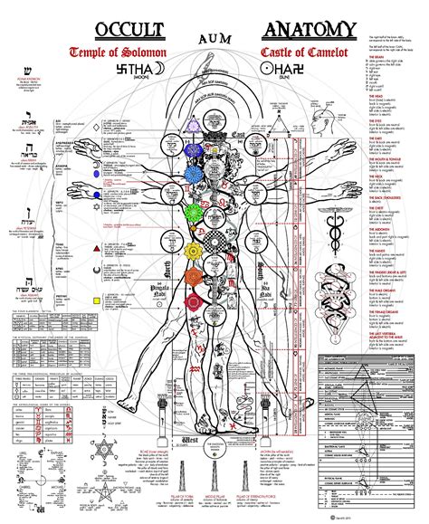 Find professional man anatomy videos and stock footage available for license in film, television, advertising and corporate uses. A fascinating illustration of the occult anatomy of man ...