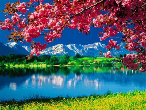 Full Hd Beautiful 3d Nature Wallpapers Beautiful Pictures Donpk