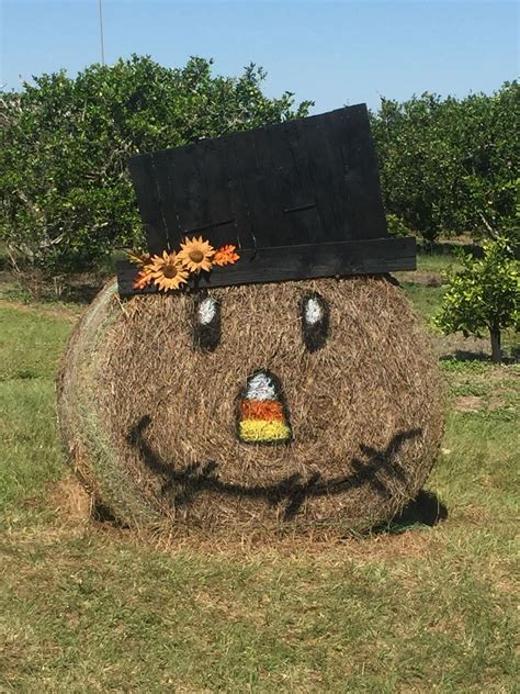 Mr Scarecrow From A Round Hay Bale Fall Crafts Hay Bale