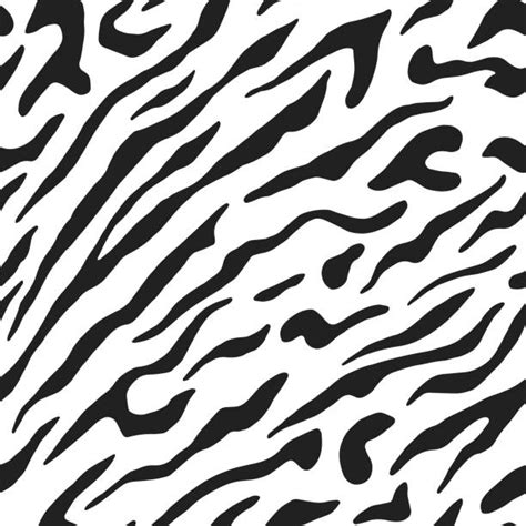 Black And White Zebra Print Illustrations Royalty Free Vector Graphics