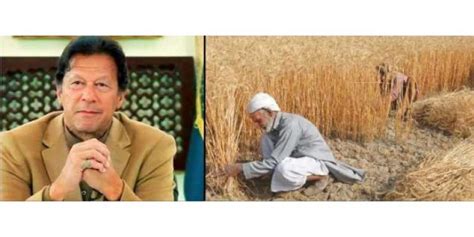 پنجاب میں تاریخی 2 کروڑ میٹرک ٹن گندم کی پیداوار، ملک کی زرعی معیشت میں 1100 ارب روپے کا اضافہ