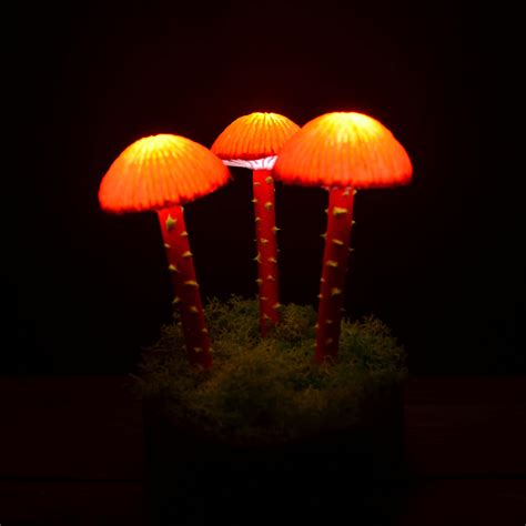 Trippy Lamp Decor Fluorescent Orange Mushrooms Lamp Mushroom Etsy