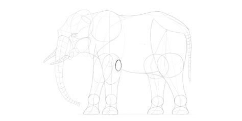 Kumpulan sketsa gambar gajah | aliransket. Sketsa Gambar Hewan Gajah Yang Mudah