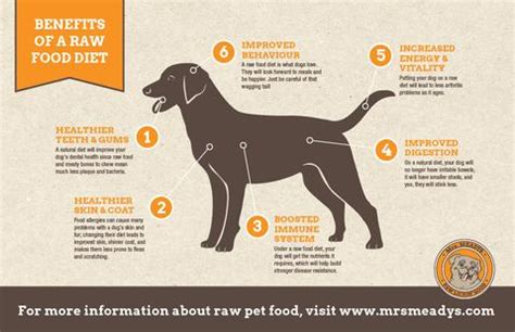 But cats and dogs only live five or six years in the wild. Benefits of a raw food diet for dogs and cats | Mrs. Meadys