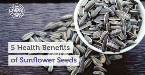 5 Health Benefits Of Sunflower Seeds