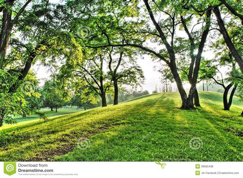 Green Spring Park Stock Photo Image Of Sunrise Country 39665438