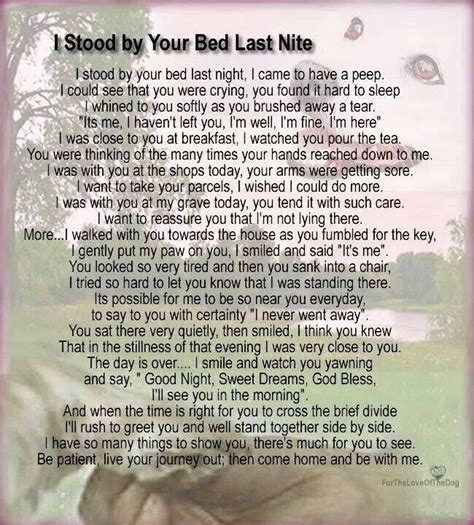 Written from the pets perspective it is one of the dog poems intended to quash and absolve all those inevitable feelings of guilt and doubt we all must face when. I stood by your bed last night in 2020 | Losing a pet ...