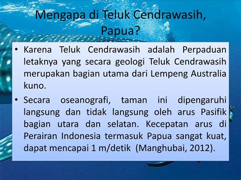 Ppt Konservasi Hiu Paus Di Teluk Cendrawasih Papua Powerpoint