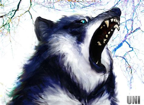 Mean Wolf By Unicornia On Deviantart