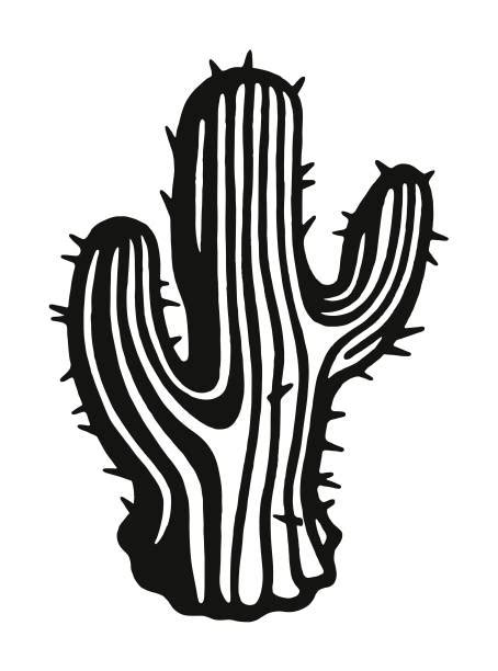Black And White Cactus Illustrations Royalty Free Vector Graphics