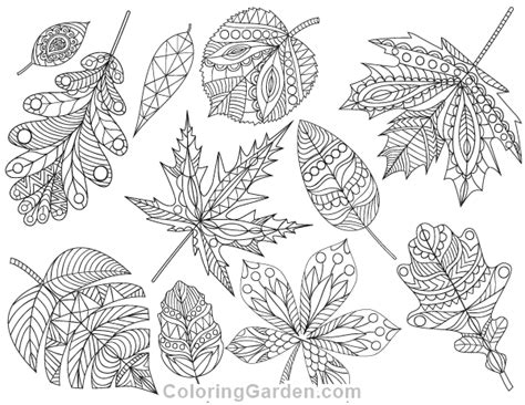 Fall Leaves Coloring Page Adult