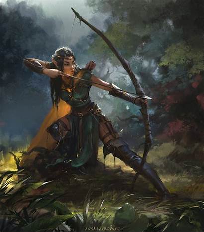 Archer Warrior Fantasy Elves Wallpapers Backgrounds