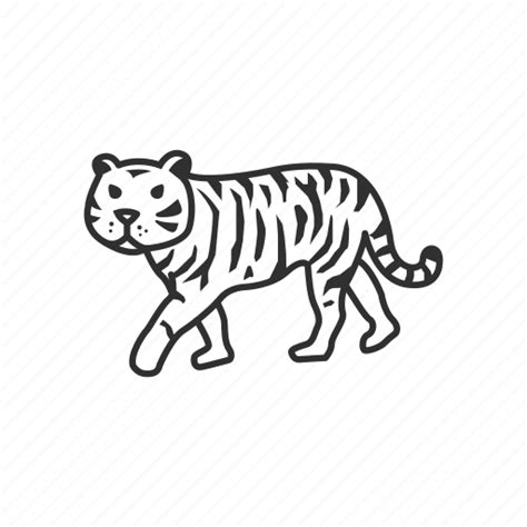 Animal Carnivore Cat Jungle Tiger Wild Zoo Icon Download On