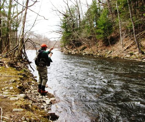 Salmon Rivers Special Fly Fishing Catch And Release Areas Oswego