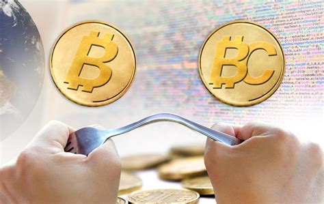 bitcoin vs bitcoin cash 6 diferencias que debes tener en cuenta coingape
