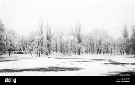 Winter Landscape Frozen Lake Stock Photo Alamy