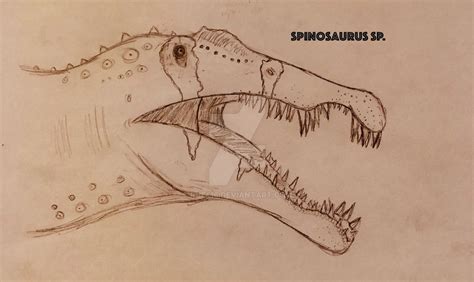 Spinosaurus Sp Critique Requested Pencil By Rhe416 On Deviantart
