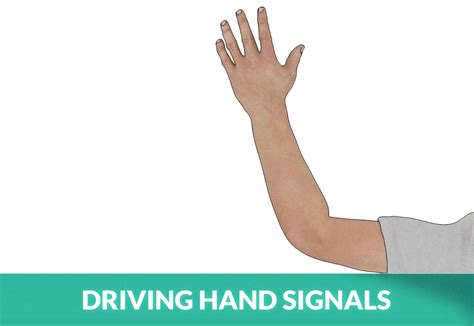 The Hand Signals For Driving Explained Zutobi Drivers Ed