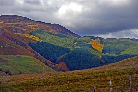 Wallpaper Hutan Skotlandia Pegunungan Terpencil Fortwilliam