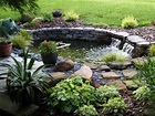 How to build a pond in your garden | HireRush Blog