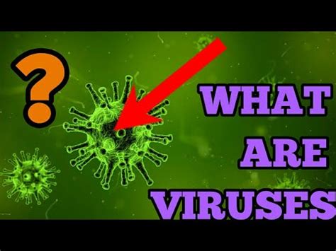 What Are Viruses HINDI Biology YASH TEACHES YouTube