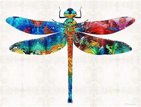 Colorful Dragonfly Art By Sharon Cummings By Sharon Cummings