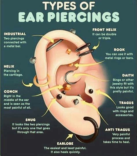 Pin By Rachel Kardashian On Random Ear Piercings Ear Piercings Chart