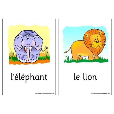 French Vocabulary Cards Wild Animals Primary Classroom Resources