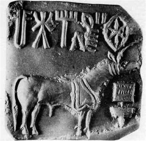 Dravidian Languages Ancient Indian History Harappan Mohenjo Daro Language Families Indus