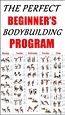 THE PERFECT BEGINNER’S BODYBUILDING PROGRAM | Workout plan for ...