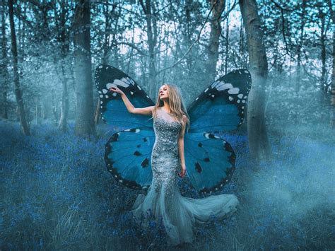 forest fantasy woman fairy blue girl butterfly wallpaper coolwallpapers me