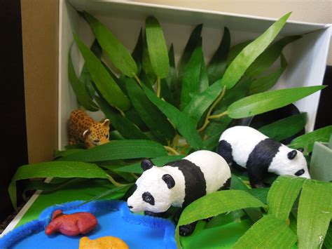 Second Graders Made A Diorama To Show An Animal Habitat Panda Habitat