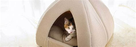 5 Best Covered Cat Beds Feb 2024 Bestreviews