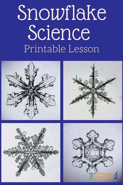 Snowflake Science Printable Lesson Snowflakes Science Homeschool