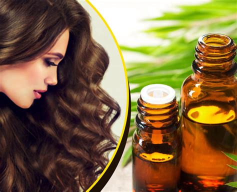 These Hair Care Tips Will Save Your Hair Spa Money In Parlours