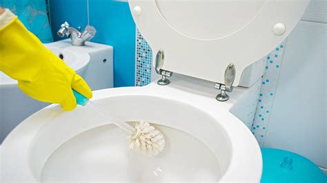How To Clean A Toilet
