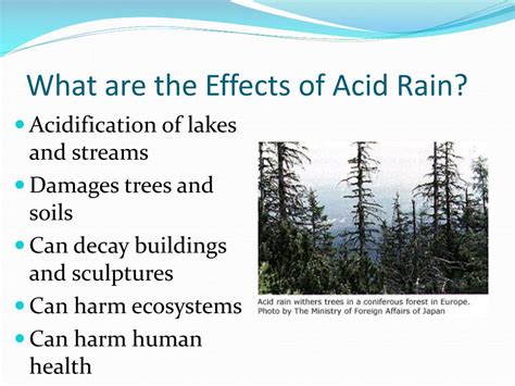 Ppt Acid Rain Powerpoint Presentation Free Download Id2573706