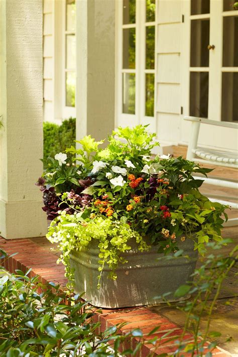20 Front Porch Container Garden Ideas Worth A Look Sharonsable