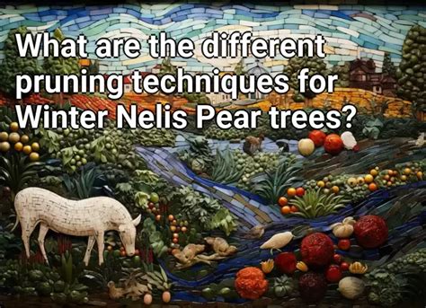 What Are The Different Pruning Techniques For Winter Nelis Pear Trees