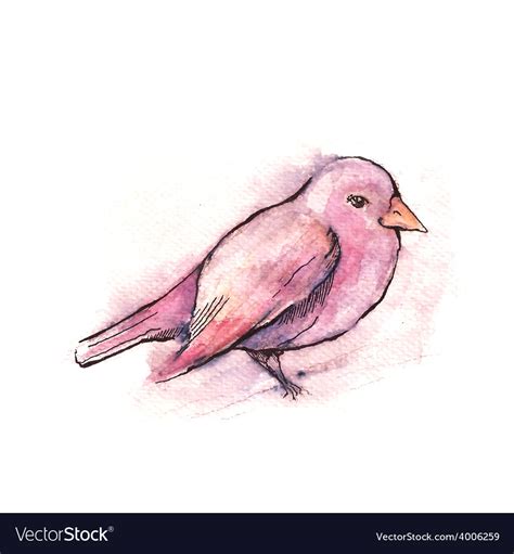 Hand Drawn Pink Bird Watercolor Style Royalty Free Vector