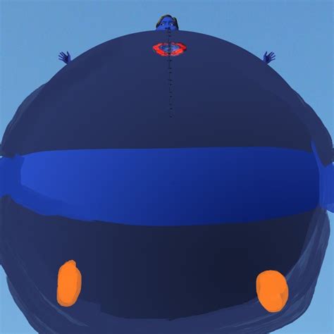 I Try To Learn To Make D Blueberry Inflated Body