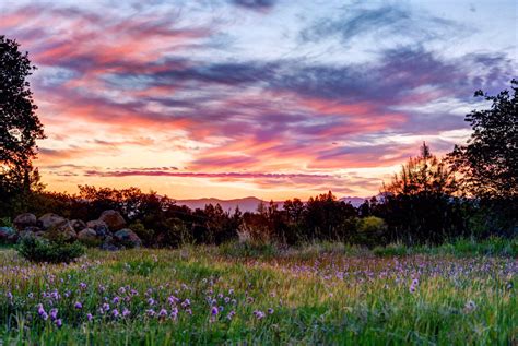 One Of My Favorite Sunrise Pictures Of My Backyard In Redding