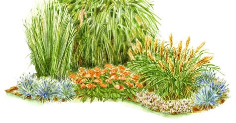 Create A Lush Low Maintenance Corner Of Ornamental Grasses