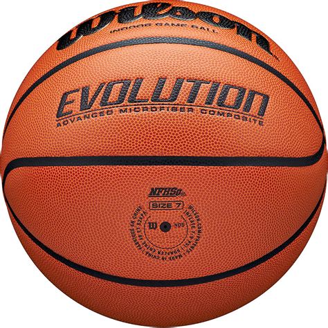 Wilson Evolution Indoor Basketball Academy